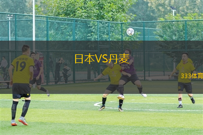 日本VS丹麥