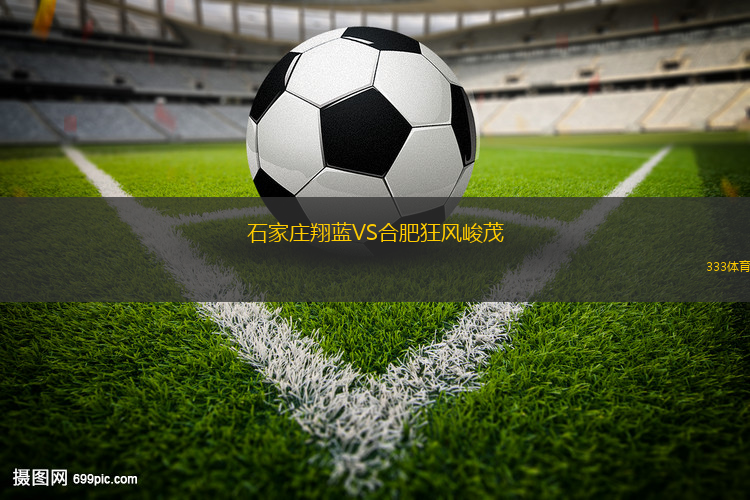 石家莊翔藍(lán)VS合肥狂風(fēng)峻茂