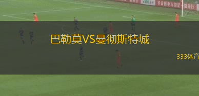 巴勒莫VS曼徹斯特城
