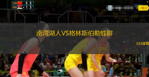 南灣湖人VS格林斯伯勒蜂群