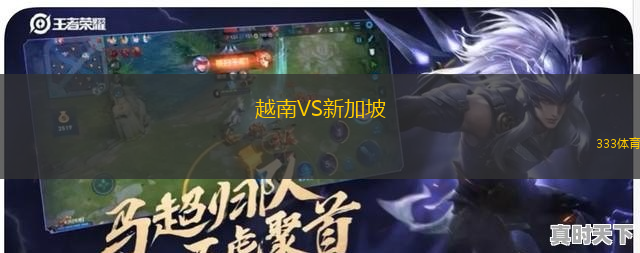 越南VS新加坡