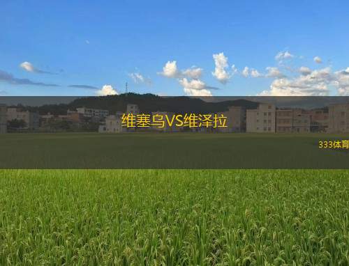 維塞烏VS維澤拉