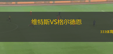 維特斯VS格爾德恩