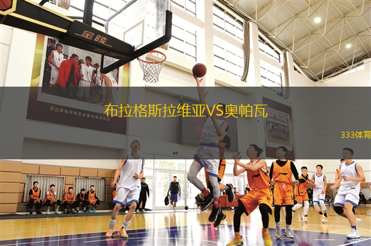 布拉格斯拉維亞VS奧帕瓦