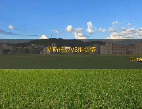 羅斯托克VS維切塔