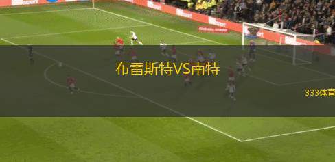 布雷斯特VS南特