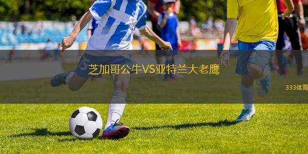芝加哥公牛VS亞特蘭大老鷹