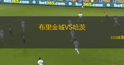 布里金城VS哈茨