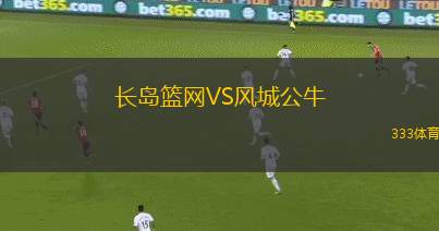 長(zhǎng)島籃網(wǎng)VS風(fēng)城公牛