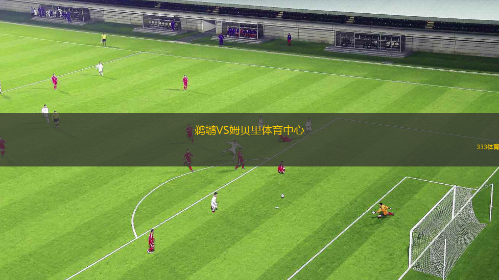 鵜鶘VS姆貝里體育中心