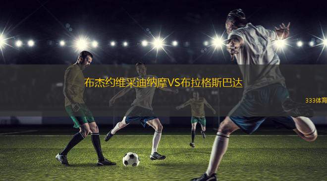 布杰約維采迪納摩VS布拉格斯巴達(dá)