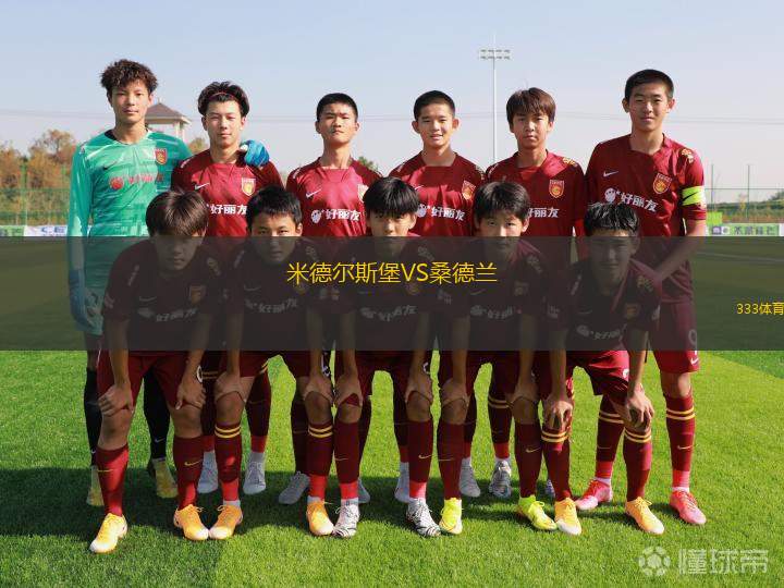 米德爾斯堡VS桑德蘭