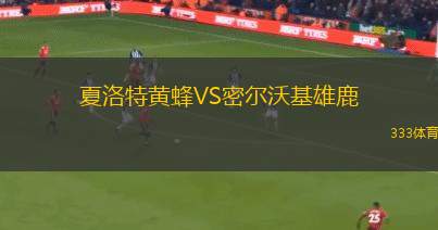 夏洛特黃蜂VS密爾沃基雄鹿