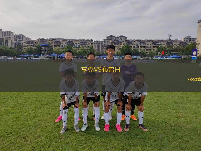 亨克VS布魯日