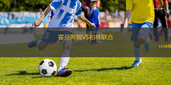 霍芬海姆VS柏林聯(lián)合