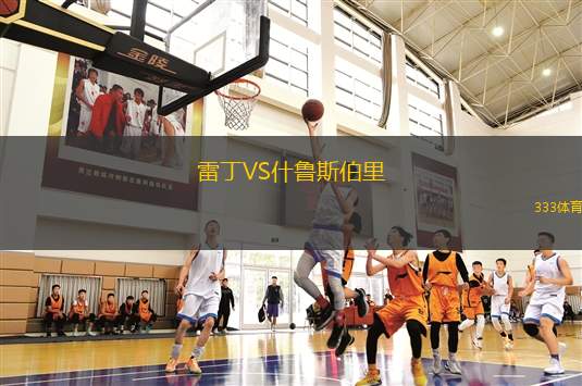 雷丁VS什魯斯伯里