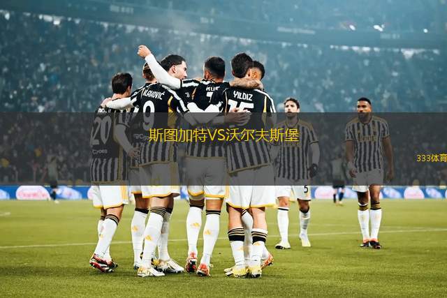 斯圖加特VS沃爾夫斯堡