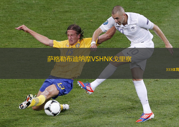 薩格勒布迪納摩VSHNK戈里察