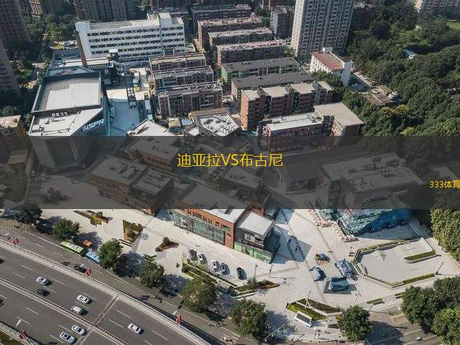 迪亞拉VS布古尼