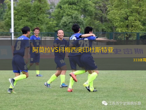 阿莫拉VS科梅西奧印杜斯特亞