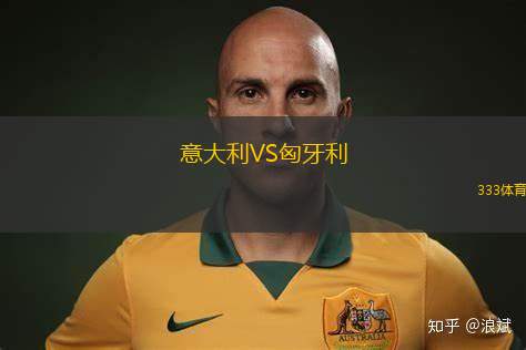 意大利VS匈牙利