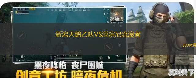 新潟天鵝乙隊VS淡濱尼流浪者