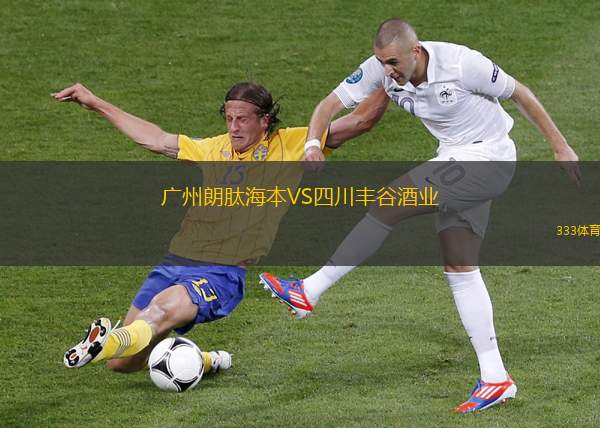 廣州朗肽海本VS四川豐谷酒業(yè)