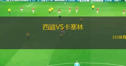 西迪VS卡塞林