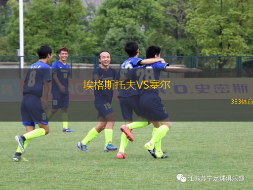 埃格斯托夫VS塞爾