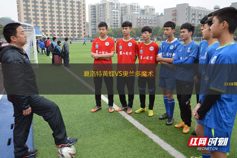 夏洛特黃蜂VS奧蘭多魔術(shù)
