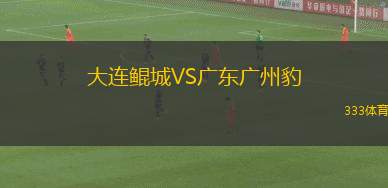 大連鯤城VS廣東廣州豹