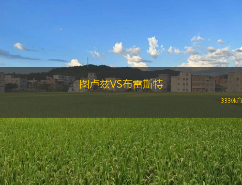 圖盧茲VS布雷斯特