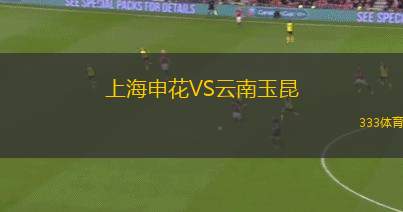 上海申花VS云南玉昆