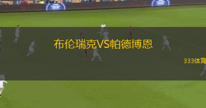 布倫瑞克VS帕德博恩