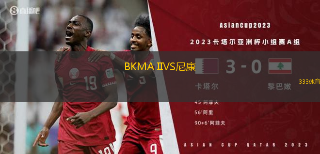 BKMA IIVS尼康