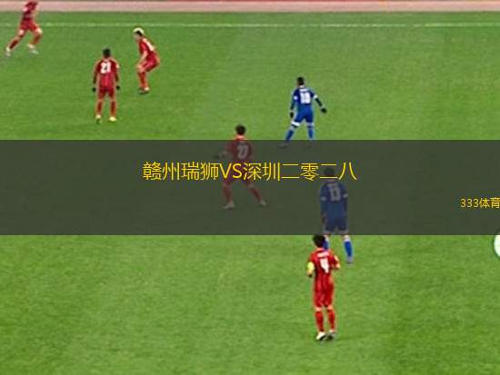 贛州瑞獅VS深圳二零二八