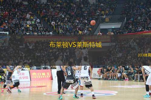 布萊頓VS萊斯特城