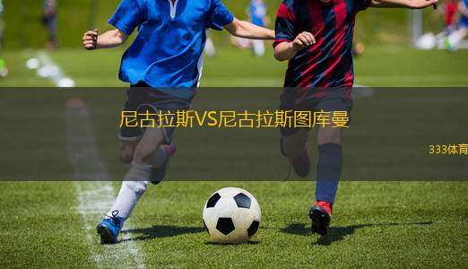 尼古拉斯VS尼古拉斯圖庫曼